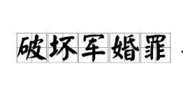 最新爆料破坏军婚罪案例,揭秘最新破坏军婚罪案例