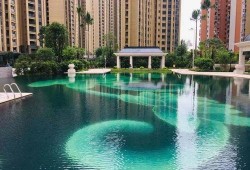麻城新闻爆料热线最新,聚焦民生热点，传递社会声音