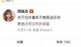 沙河网最新爆料消息新闻,最新重大新闻事件深度解析