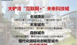汝州刘先生最新爆料新闻,揭秘事件背后惊人真相