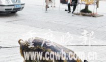 野猪最新爆料,娱乐圈最新爆料大起底