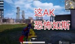 和平精英11最新爆料,全新内容抢先看，战斗体验再升级！