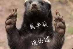 平头哥最新爆料,揭秘科技巨头背后的秘密与挑战