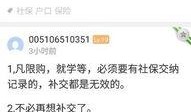 廊坊最新社保爆料,最新调整与福利待遇一览”