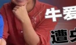 王霖团队爆料最新视频在线观看,精彩内容抢先看！