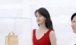 成毅袁冰妍最新爆料细节,甜蜜互动揭秘幕后故事